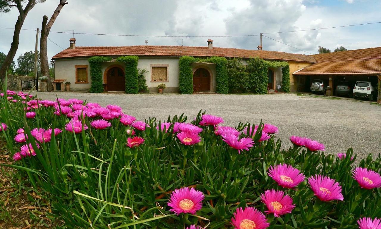 Agriturismo Monte Alzato Capalbio Exterior foto